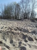 donnafelice