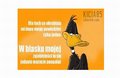 kicia85