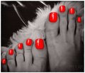 FeetLady
