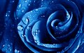 Blue45