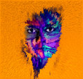 November_