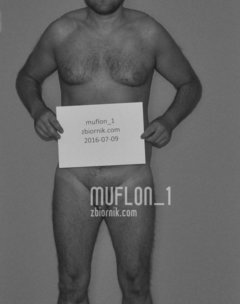 muflon_1