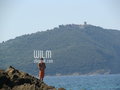 wilm