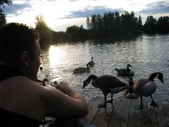 tomek320555