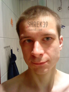 shrek39