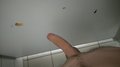 pasywnyzopola