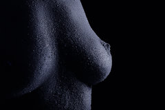 fotoDO
