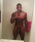 PolandBlackBull