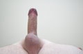 Morek3278