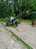 szaraczek_po30