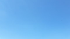 AdamBydg123