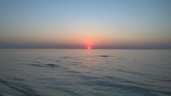 Olek_51