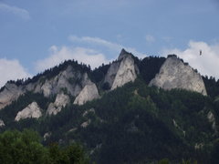 Nowy_wawa27