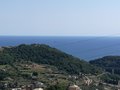 Bikierowca