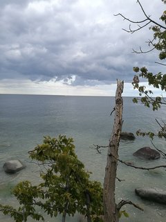 tako1985