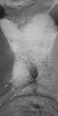 cytrynowka80