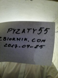 Pyzaty55