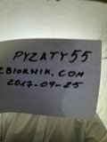 Pyzaty55