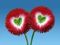 MeWithYou