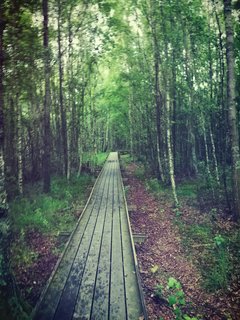 qubel89