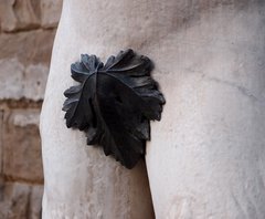 shaolini