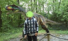 lagbart