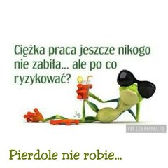 Rybki1995