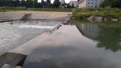 Witek1999