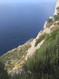 szarlatanM