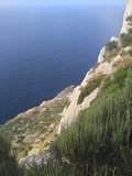 szarlatanM