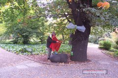 wyzwolony2010