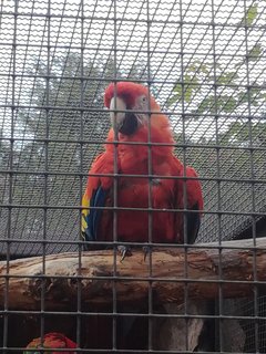 lubieto1