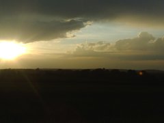 davidofv
