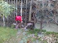 SolidnyPLnow