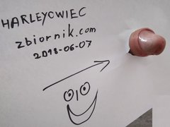 Harleyowiec
