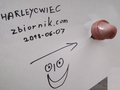 Harleyowiec