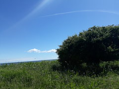 A660