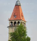 Adam_50bi_Lublin