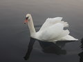 Patryk_03