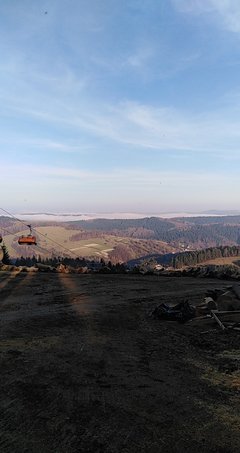 Dawid353535