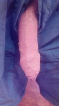 wolf210