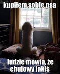 75andre