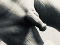 Jarek7818