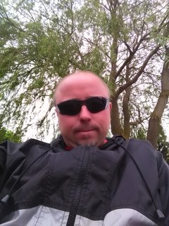 misiektyp