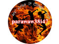 parawaw38i47