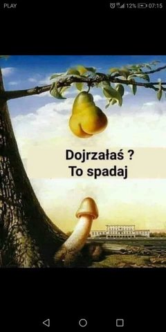 Karolll89r