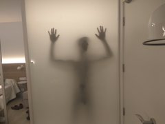 kaktusx