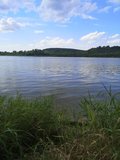 normalny765