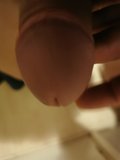 Ryba2222
