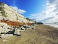 NewOne85